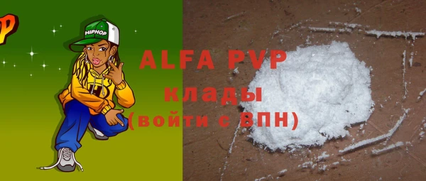 прущие грибы Абаза
