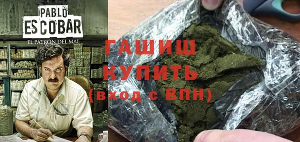 прущие грибы Абаза