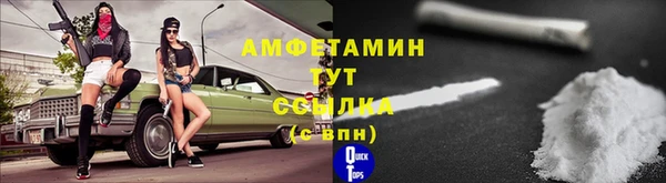 прущие грибы Абаза