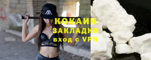 прущие грибы Абаза