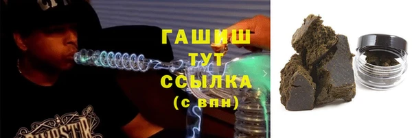 прущие грибы Абаза