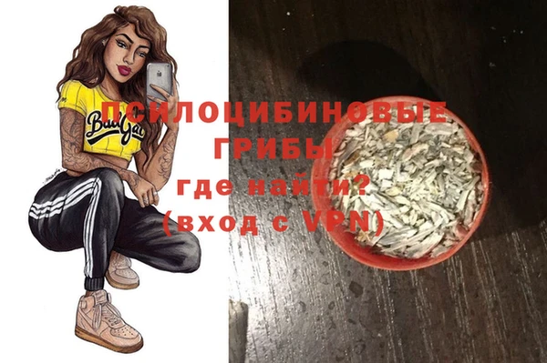 прущие грибы Абаза