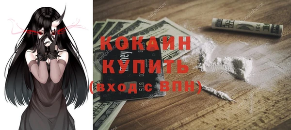 прущие грибы Абаза