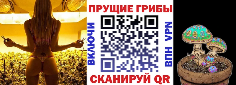 Псилоцибиновые грибы ЛСД  Киселёвск 
